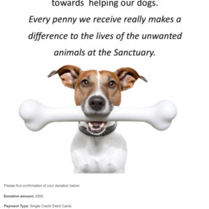 Social Proof Image